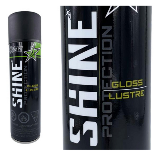 SHINE - SILICONE PROTECTANT